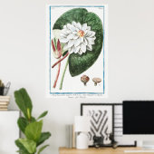 illustratie WaterLily Poster (Thuiskantoor)