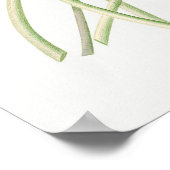  illustratie WaterLily Poster (Hoek)