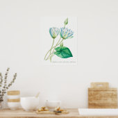  illustratie WaterLily Poster (Keuken)
