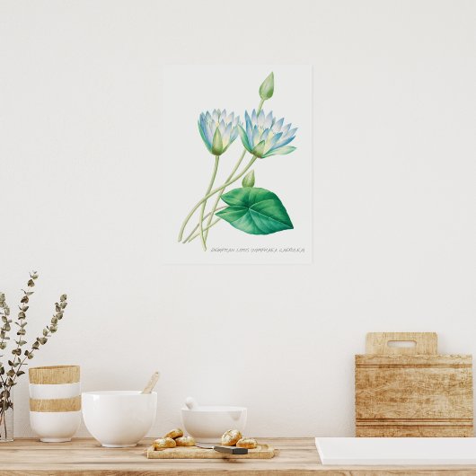 illustratie WaterLily Poster (Keuken)