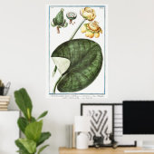 illustratie WaterLily Poster (Thuiskantoor)