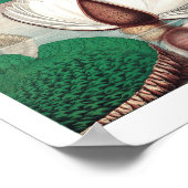  illustratie WaterLily Poster (Hoek)