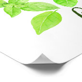 Illustratie waterverf Basil Poster (Hoek)