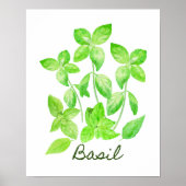 Illustratie waterverf Basil Poster (Voorkant)