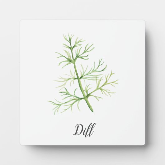 Illustratie Waterverf Dill Herb Fotoplaat (Voorkant)