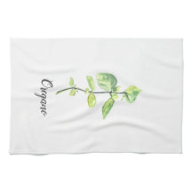 Illustratie Waterverf Oregano Herb