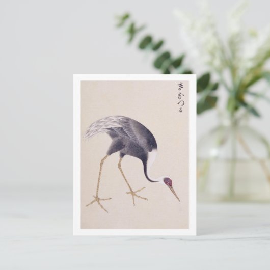 illustratie: White-naped kraan Briefkaart (Staand voorkant)