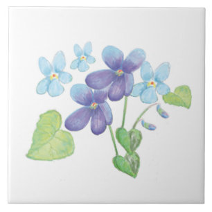 Illustratie Wild Violet Flowers Tegeltje