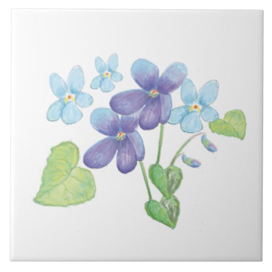 Illustratie Wild Violet Flowers Tegeltje (Voorkant)
