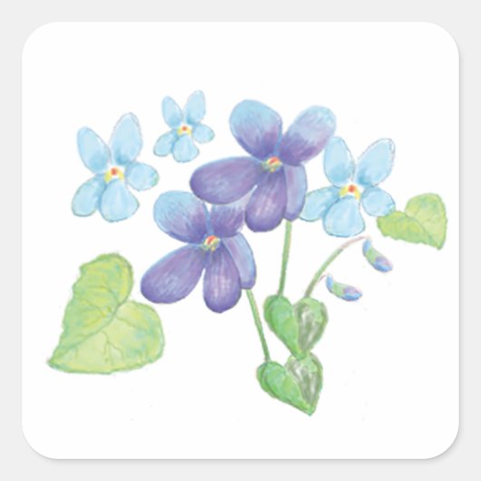 Illustratie Wild Violet Flowers Vierkante Sticker (Voorkant)