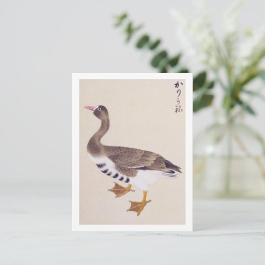  illustratie: Wilde gans Briefkaart (Staand voorkant)