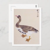  illustratie: Wilde gans Briefkaart (Voorkant / Achterkant)