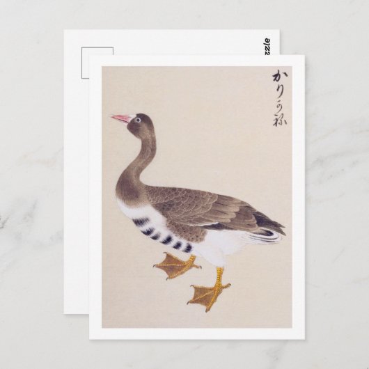  illustratie: Wilde gans Briefkaart (Voorkant / Achterkant)