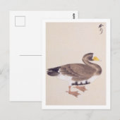  illustratie: Wilde gans Briefkaart (Voorkant / Achterkant)