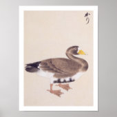  illustratie: Wilde gans Poster (Voorkant)