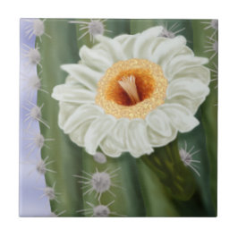 Illustratie: Witte Vloer van Saguaro Cactus Tegeltje