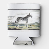 Illustratie zebra Afrika tekening van de stripper Blikjeskoeler (Voorkant)