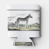 Illustratie zebra Afrika tekening van de stripper Blikjeskoeler (Achterkant)