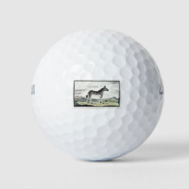 Illustratie zebra Afrika tekening van de stripper Golfballen
