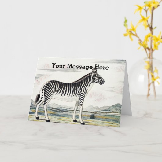 Illustratie zebra Afrika tekening van de stripper Kaart (Gele Bloem)