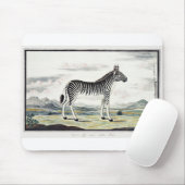 Illustratie zebra Afrika tekening van de stripper Muismat (Met muis)