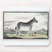 Illustratie zebra Afrika tekening van de stripper Muismat (Voorkant)