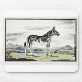 Illustratie zebra Afrika tekening van de stripper Muismat