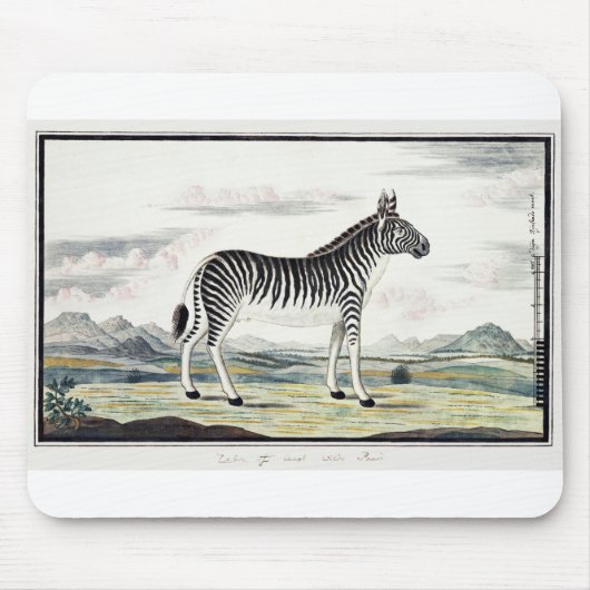 Illustratie zebra Afrika tekening van de stripper Muismat (Voorkant)