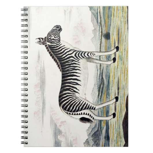 Illustratie zebra Afrika tekening van de stripper Notitieboek (Voorkant)