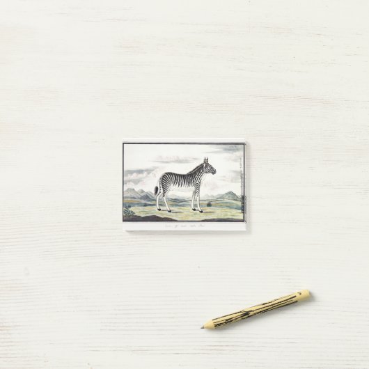 Illustratie zebra Afrika tekening van de stripper Post-it® Notes (Op bureau)