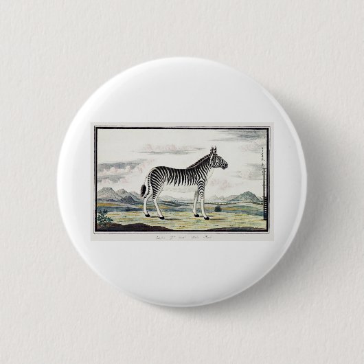 Illustratie zebra Afrika tekening van de stripper Ronde Button 5,7 Cm (Voorkant)
