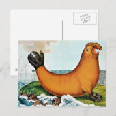 Illustratie zee olifant (Zotl) Briefkaart (Voorkant / Achterkant)