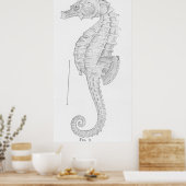 Illustratie zeepaardje (1907) poster (Keuken)