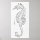 Illustratie  zeepaardje (1907) poster (Voorkant)