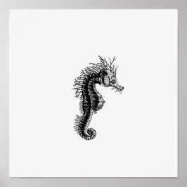 Illustratie zeepaardje poster
