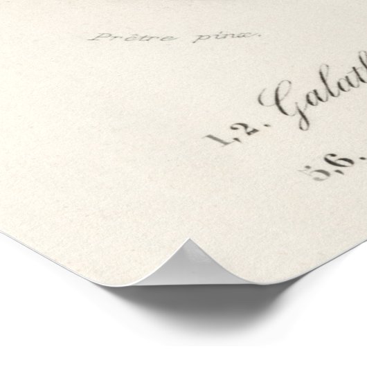 Illustratie  zeeschelpen poster (Hoek)