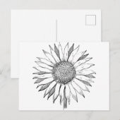 Illustratie zonnebloem briefkaart (Voorkant / Achterkant)