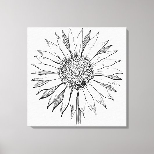 Illustratie zonnebloem canvas afdruk (Voorkant)