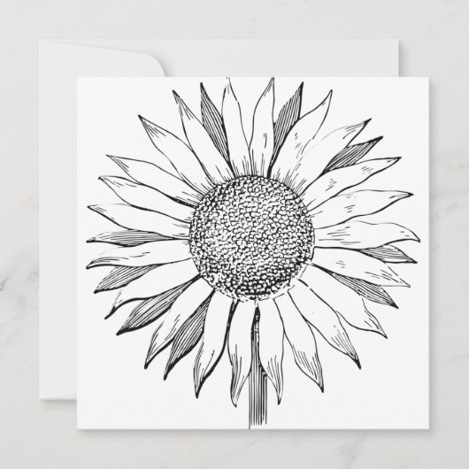 Illustratie zonnebloem kaart (Voorkant)