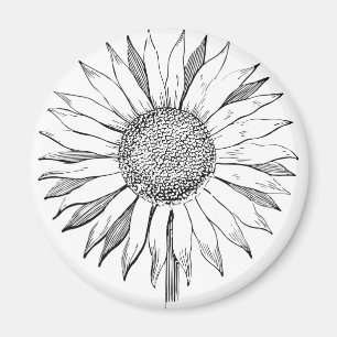 Illustratie zonnebloem magneet