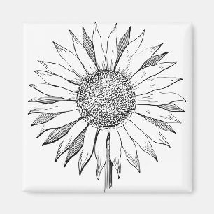 Illustratie zonnebloem magneet