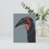 Illustratie Zuid-Ground Hornbill Briefkaart (Staand voorkant)