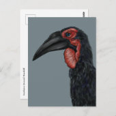 Illustratie Zuid-Ground Hornbill Briefkaart (Voorkant / Achterkant)