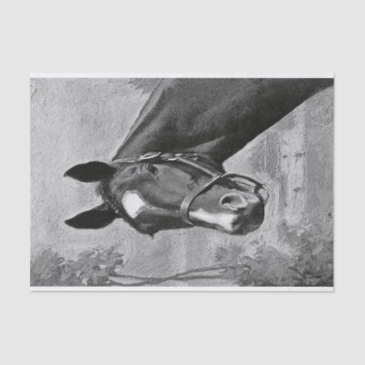 Illustratie zwart-wit Antiek  paard Tissuepapier (Voorkant)