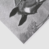 Illustratie zwart-wit Antiek  paard Tissuepapier (Detail)