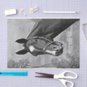 Illustratie zwart-wit Antiek  paard Tissuepapier (Craft)