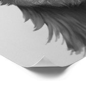 Illustratie zwarte en witte hoogland Koe Poster (Hoek)