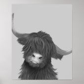 Illustratie zwarte en witte hoogland Koe Poster (Voorkant)