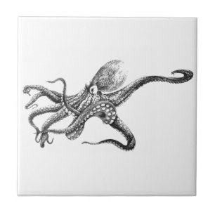 Illustratie zwarte en witte octopus tegeltje