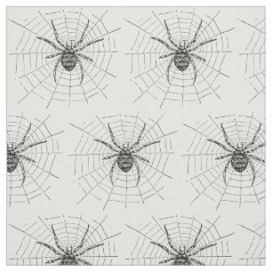 Illustratie  zwarte en witte spin stof